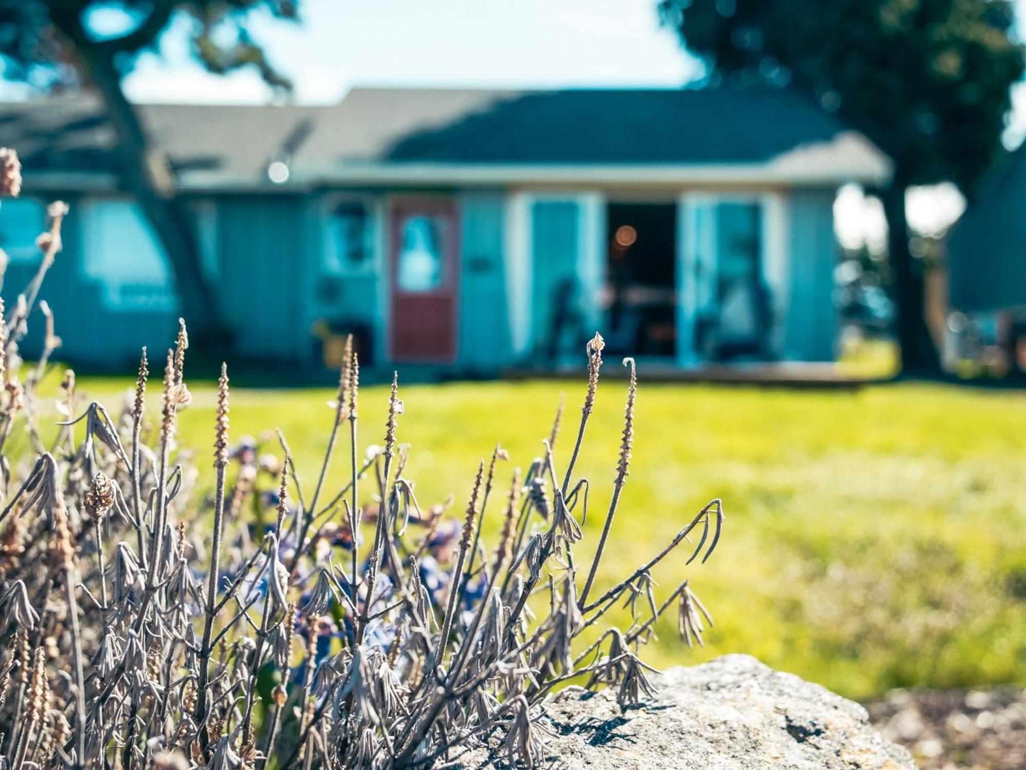 Dungeness Bay Cottages Sequim Eksteriør billede